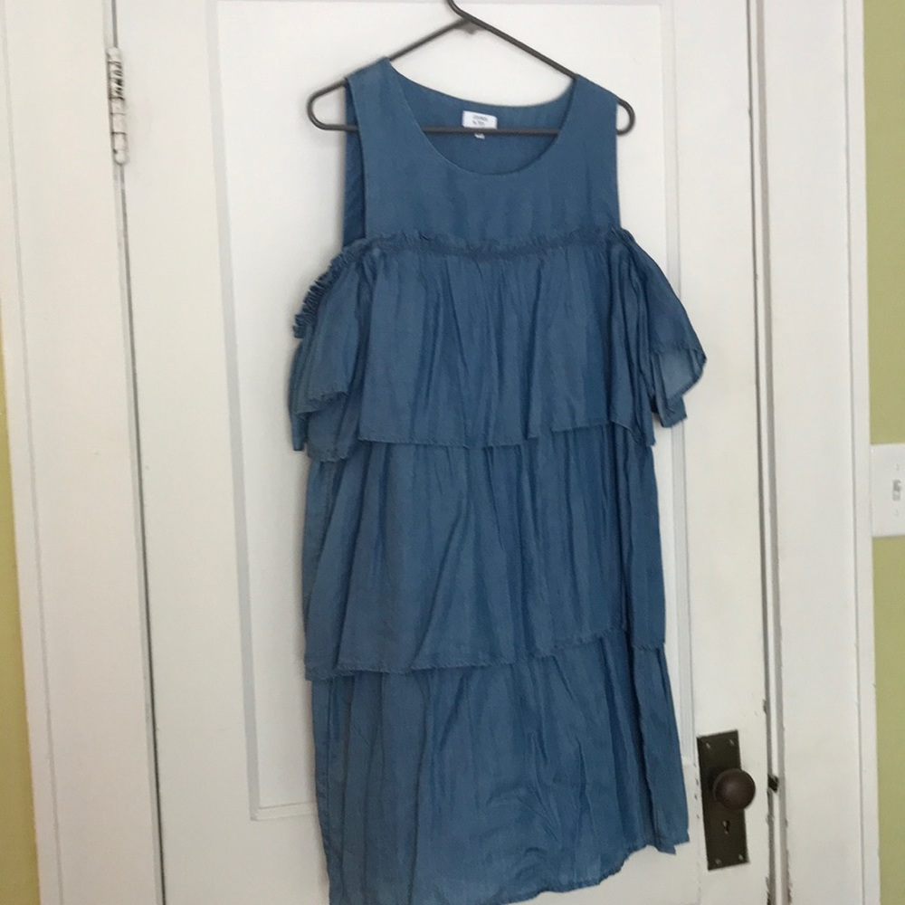 Chambray Dress